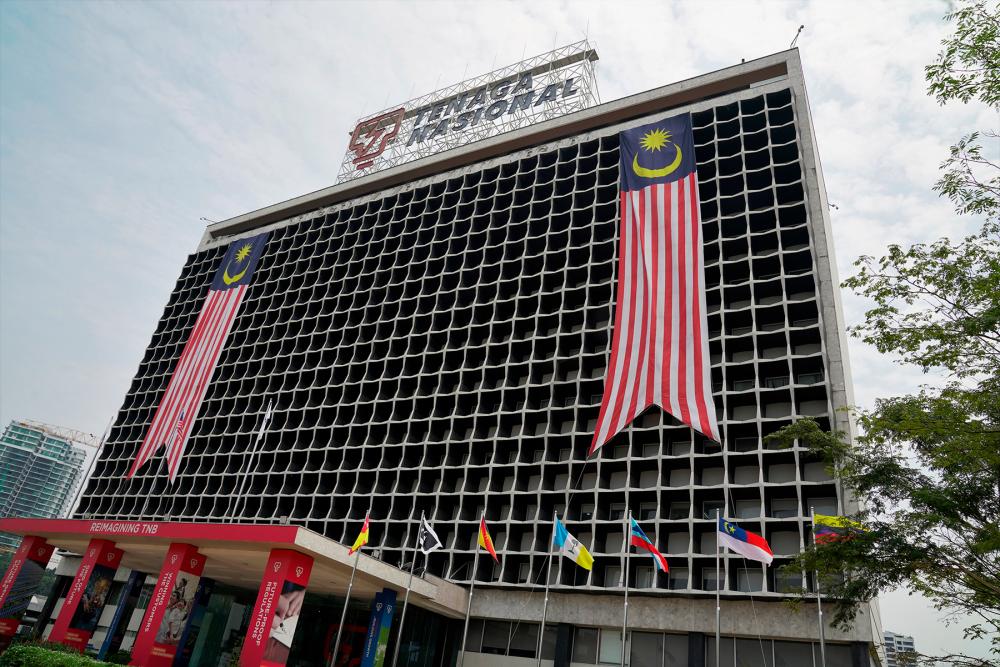 TNB posts lower earnings in FY20