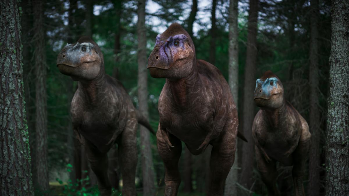Albertosaurus are smaller versions of T-Rex. $!Albertosaurus are smaller versions of T-Rex.