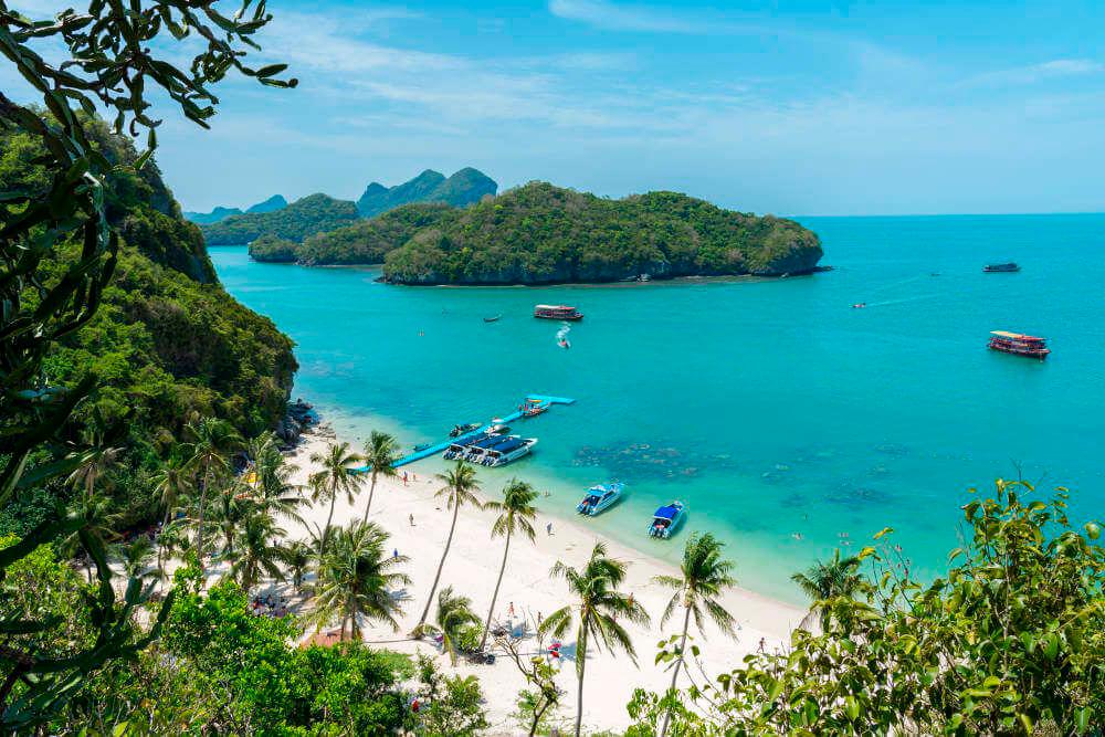Pix credit: Koh samui FB