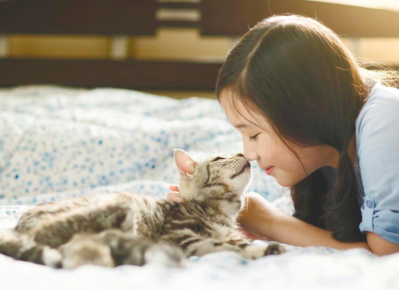Like people, cats can suffer from mental health issues, such as depression and anxiety. $!Like people, cats can suffer from mental health issues, such as depression and anxiety.