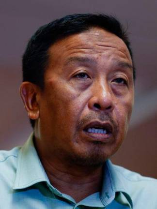 Bernamapix