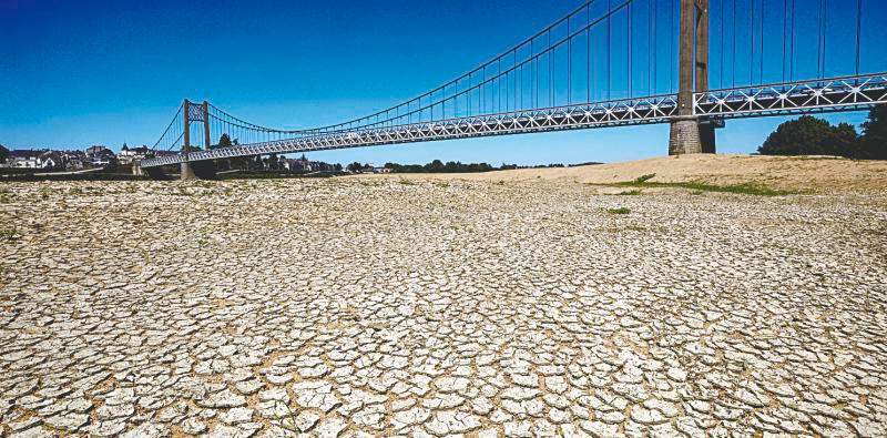 Last year, Europe suffered its worst drought in more than 500 years and 15,000 people died in heatwaves. – REUTERSPIC