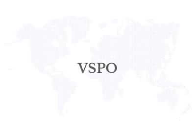 VSPO, the largest esports company in Asia, announces new CEO and international brand alignment to Hero Esports