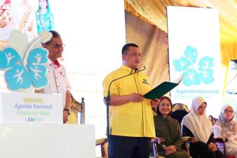 Pay serious attention to mental health – Perlis Regent
