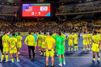 Harimau Malaya development allocation raised to RM30m – PM Anwar