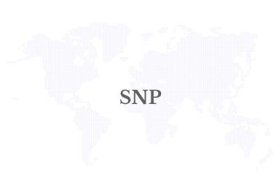 SNP expands partnership with SAP