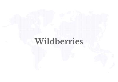 Wildberries Posts Surge in E-Commerce Sales in Central Asia in 2024