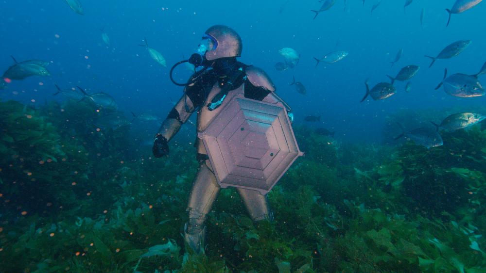 Mayne will be wearing a special suit to try and fool great whites in Australian waters. – DISCOVERY CHANNEL