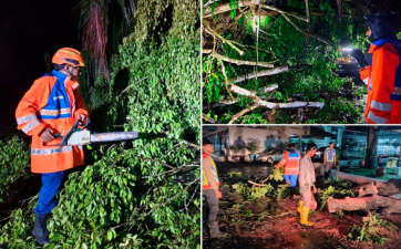 Strong storm in Hilir Perak causes fallen trees at seven locations