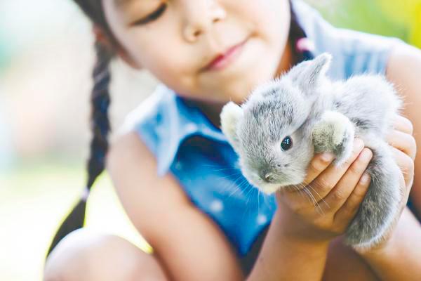 $!Rabbits often form strong bonds with other pets and build close relationships with their human caregivers.