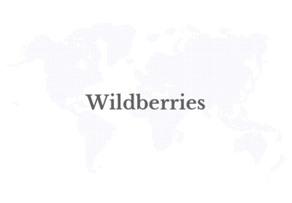 Wildberries Expands into Social E-commerce with Wibes App
