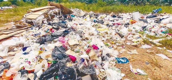 Nithi said illegal dumpsites cause extensive environmental repercussions, affecting ecosystems, wildlife and public health, while solid waste contains elevated levels of hazardous materials. – Amirul Syafiq/theSun