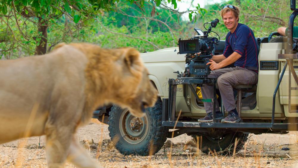 Gregory looks on as a male lion walks past the filming vehicle. – NATIONAL GEOGRAPHIC FOR DISNEY+