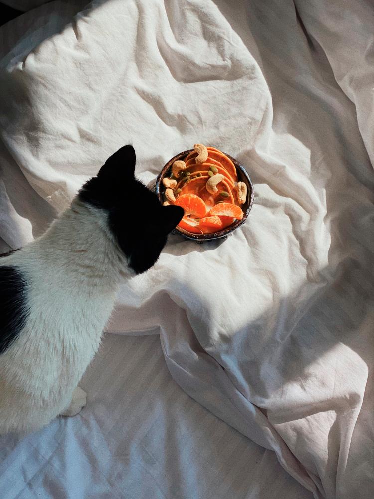 $!Matching your living situation and time availability with the right pet contributes to a harmonious relationship.