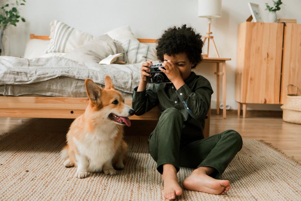 For a memorable start to the year, pet owners could capture the moment by taking photos or videos of their furry friends joining the celebration.