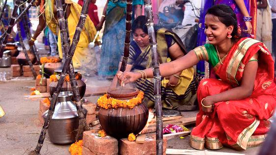 Families come together to celebrate Pongal with colourful decorations, traditional rituals and exchange of greetings. – PINTEREST $!Families come together to celebrate Pongal with colourful decorations, traditional rituals and exchange of greetings. – PINTEREST