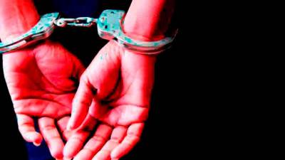 Thai woman arrested for smuggling chicken carcasses from Malaysia