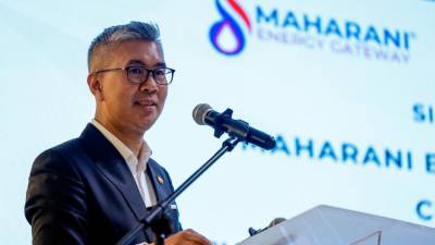 Malaysia should harness collective expertise, resources to drive halal industry - Tengku Zafrul