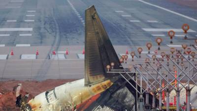 Questions over airport embankment, bird strikes as South Korea air crash probed