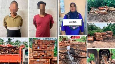 GOF seizes RM19 million in illegal timber in Tanah Merah raids