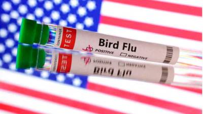 US suffers first severe human case of bird flu; California declares emergency