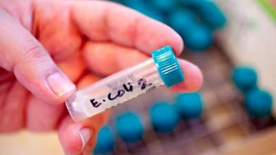 Florida raw milk linked to 21 E.coli infections, 6 kids affected