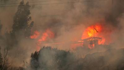 “It was hell”: Survivor recounts rush of flames in Chile wildfire