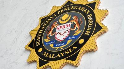 Graft probe: PROLINTAS to fully cooperate with MACC