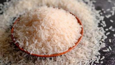 Philippines suspends rice imports for 60 days to protect farmers