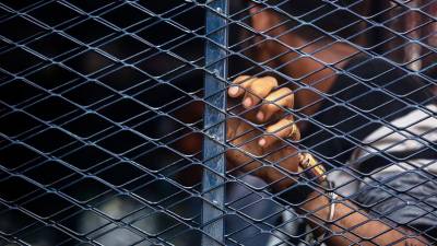 Johor immigration detains 27 foreign workers in ops