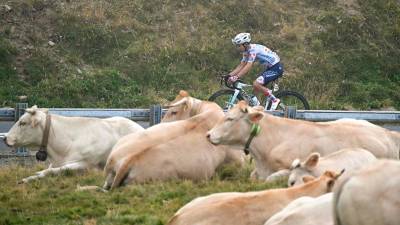 Tour de France stage modified over infected cattle
