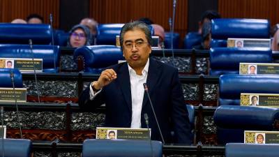 Malaysia’s low oil palm replanting rate linked to rising FFB prices