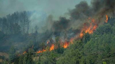 Wildfire in southern France kills one, injures nine