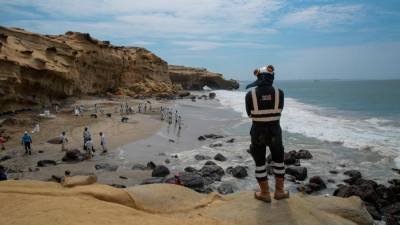 Russian scientists criticise oil spill cleanup