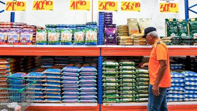 Senator urges special act to stop imported and local rice mixing