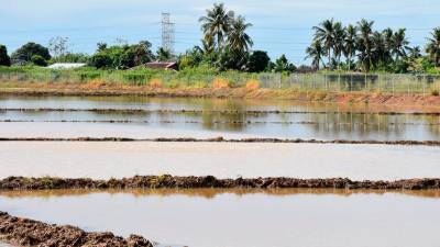 Bukit Rambai irrigation scheme land acquisition set for completion in early 2026