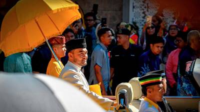 Selangor crown prince celebrated in royal wedding procession