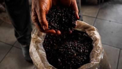 Vietnam’s coffee exports reach nearly US$4.2b in 2023