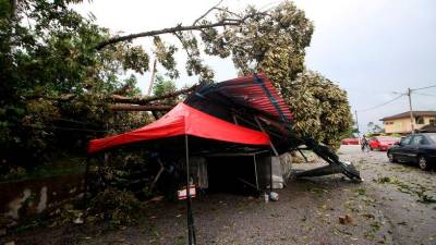 Dua gerai pasar malam di Nilai ditimpa pokok tumbang