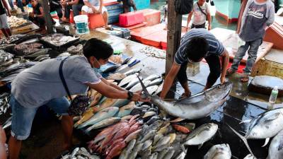Industri tuna jadi pemacu utama ekonomi maritim Malaysia