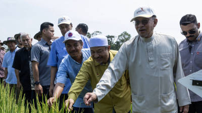 PM Anwar visits Desa Gemalai organic padi farm in Kelantan