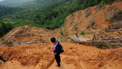 Land encroachment: Enforcement action taken based on solid evidence – Pahang MB