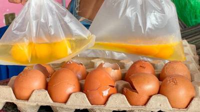 95 infected in US Salmonella outbreak linked to eggs