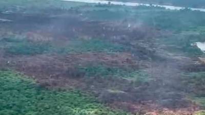 Downpour extinguishes Marudi wildfires after 10 days