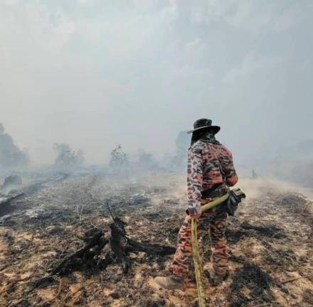 Firefighters battling the fire in Marudi district which spread from an estate to a forest. Sarawak Fire and Rescue Department pic.