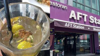 M’sian woman finds frog in ‘limau ais’, sparks Sendayan eatery outrage