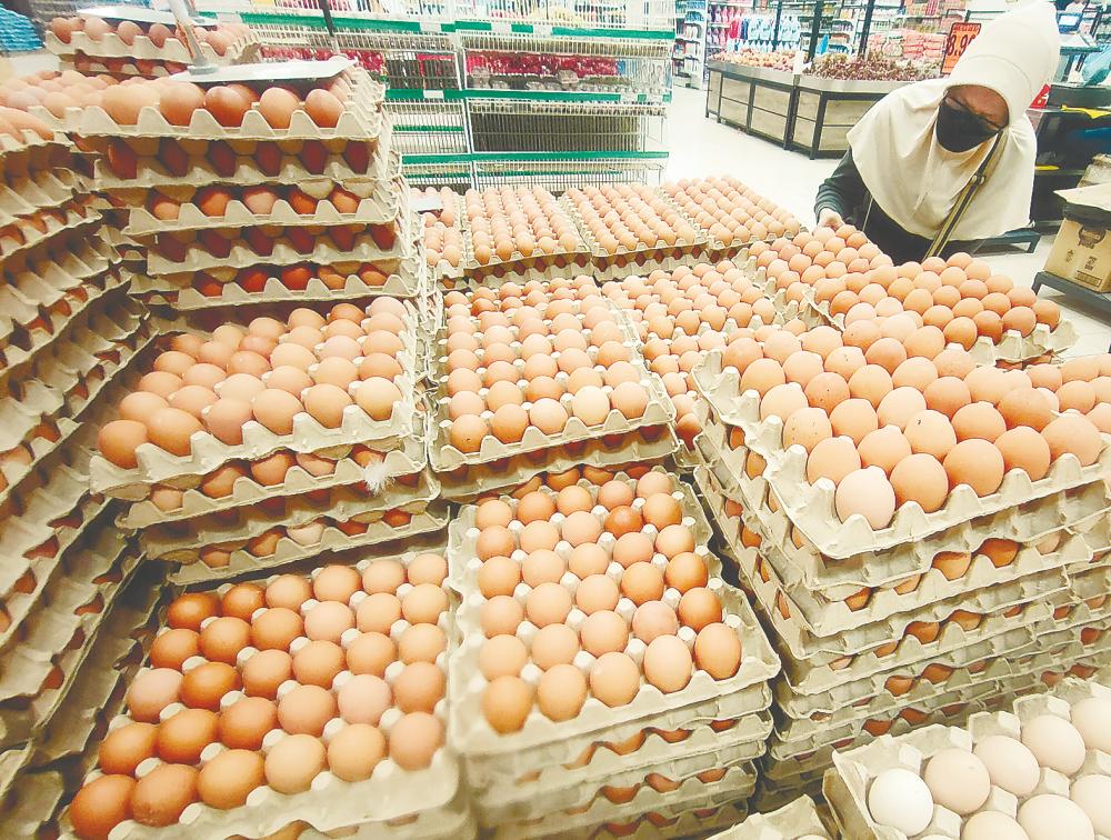 Mohamad said the decision to end the egg subsidy is being considered based on the success of ending the chicken subsidy. – SYED AZAHAR SYED OSMAN/THESUN