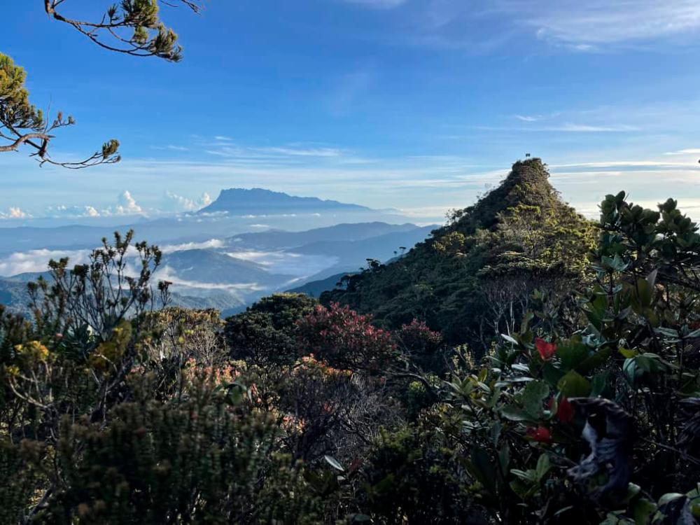 The peak of Mt Sinsing (right) and Mt Kinabalu in the background, as viewed from the summit trail. Pix credit: @m.a.shahh17_ via Twitter/tmphnompenh