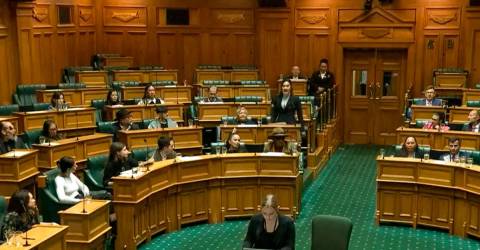 New Zealand set to suspend Maori lawmakers over protest haka