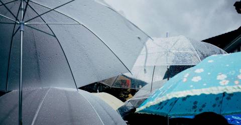 Heavy rains kill 5 in Chinas south, authorities issue disaster alerts